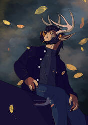 Fall