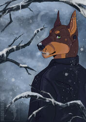 Experimental Commission